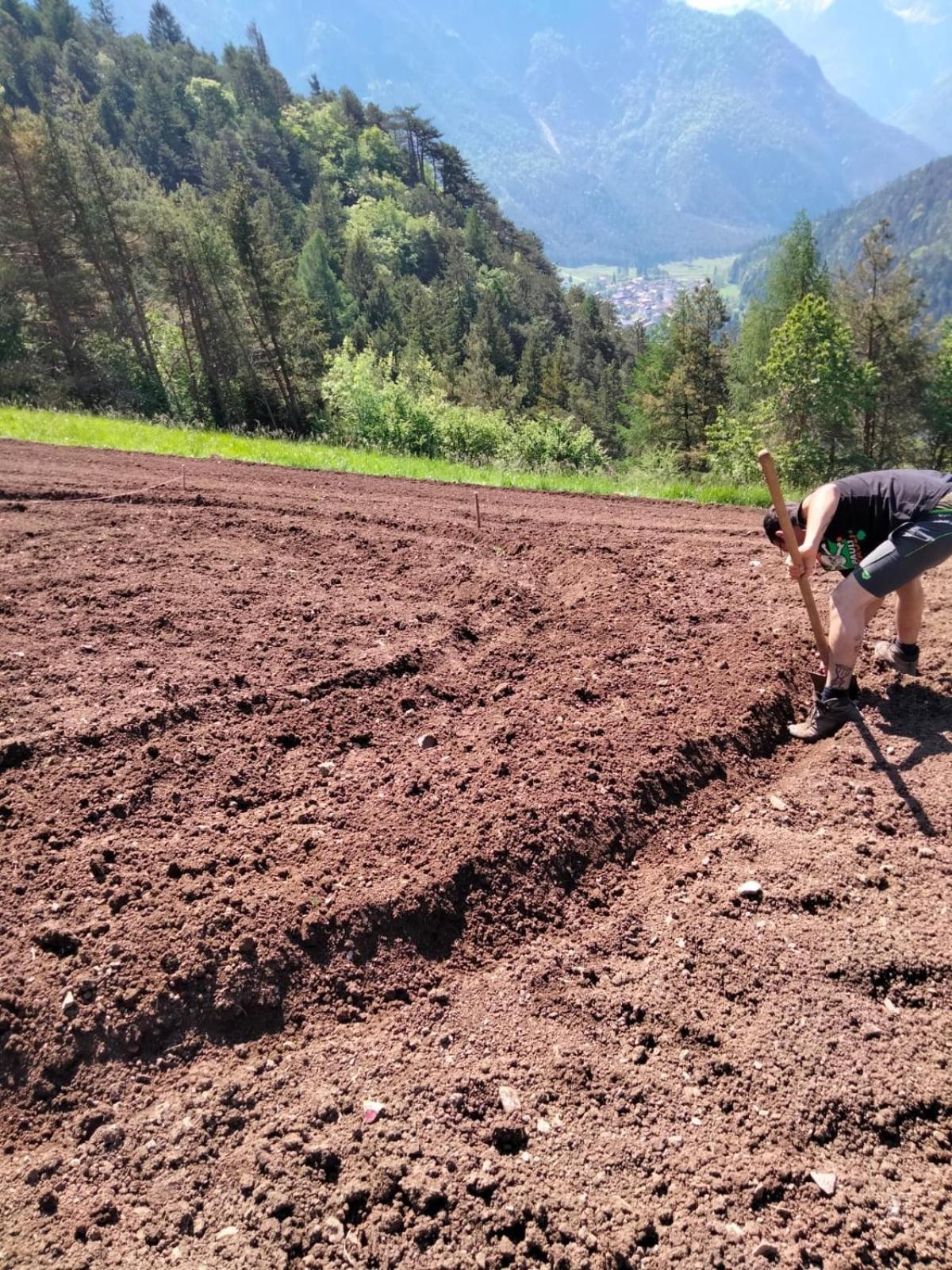 Agriturismo Borgo Damos Villa Valle di Cadore Kültér fotó