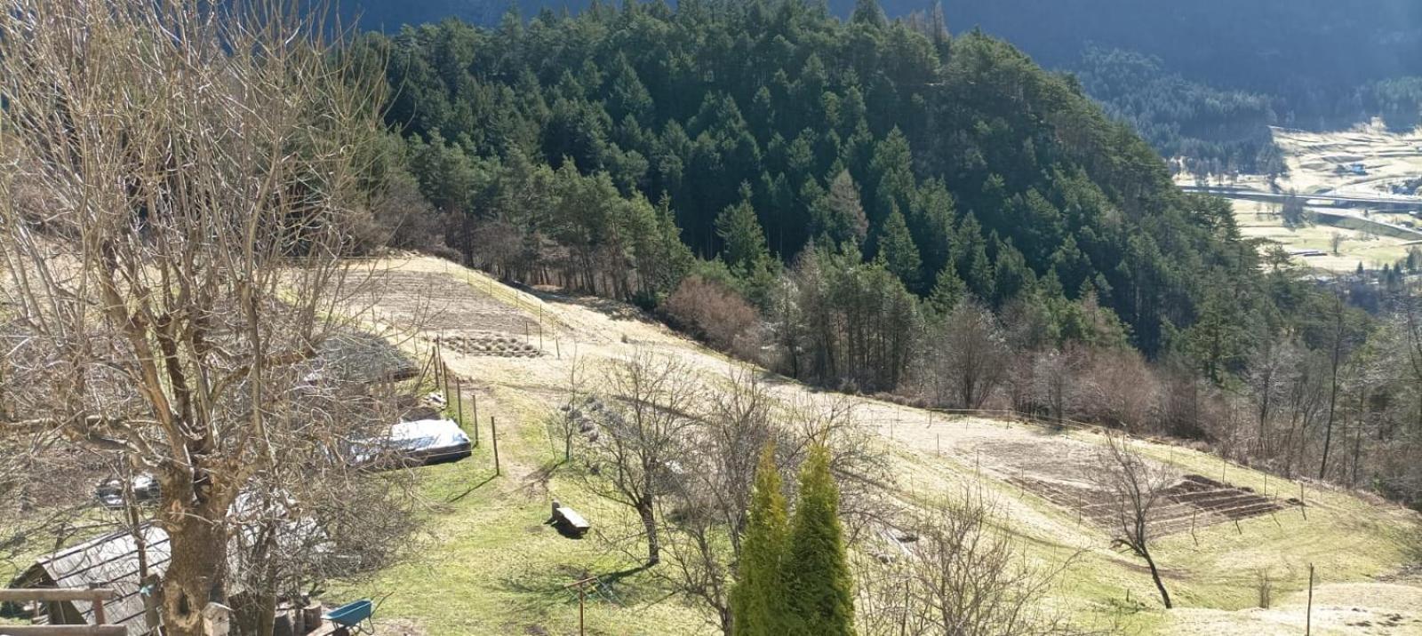 Agriturismo Borgo Damos Villa Valle di Cadore Kültér fotó